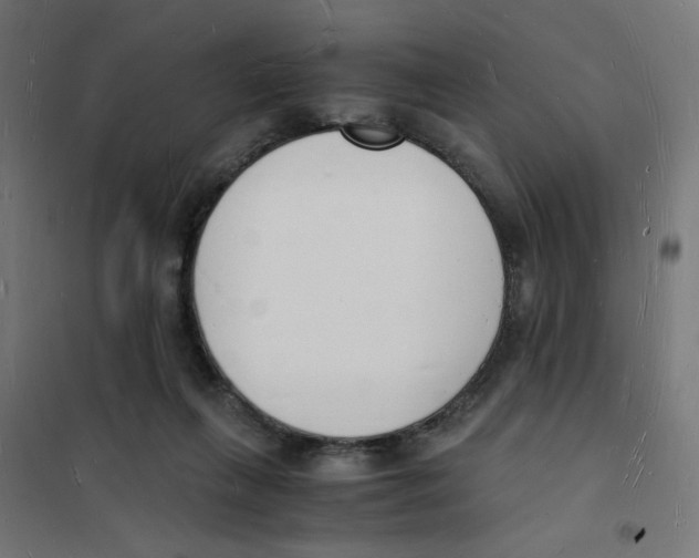 X0000101670263200808071052