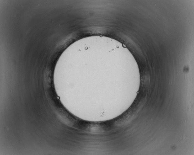 X0000101670264200808071052