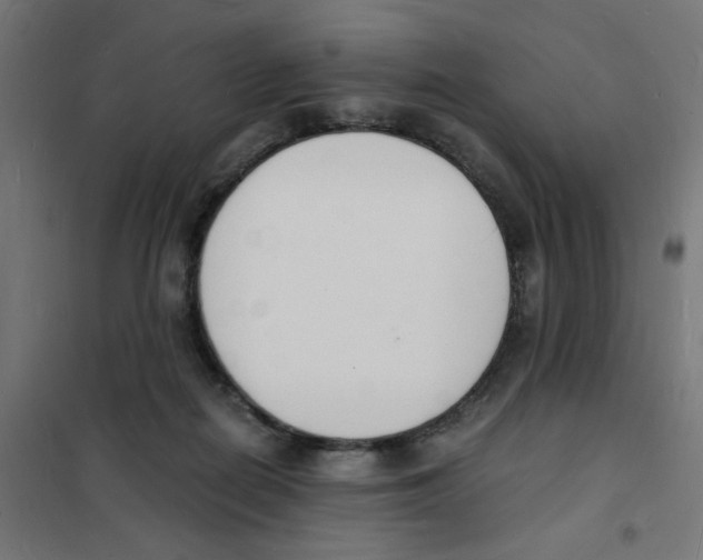 X0000101670266200808071052