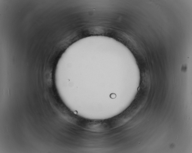 X0000101670267200808071052