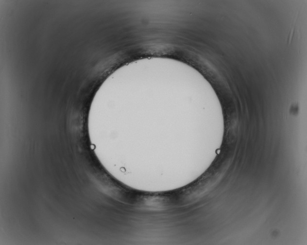 X0000101670268200808071052