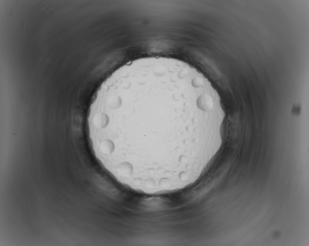 X0000101670269200808071052