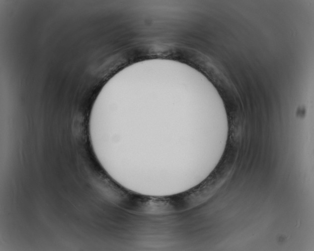 X0000101670270200808071052