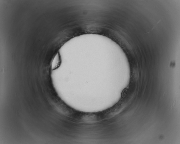 X0000101670271200808071052