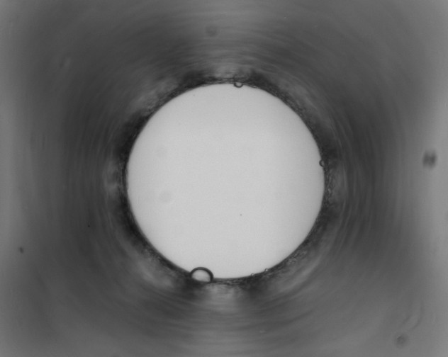 X0000101670272200808071052