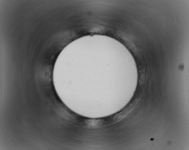 X0000101670273200808071052
