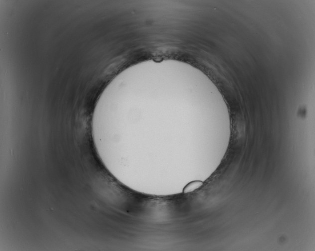 X0000101670276200808071052