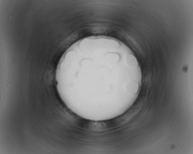 X0000101670277200808071052