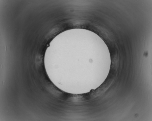 X0000101670278200808071052