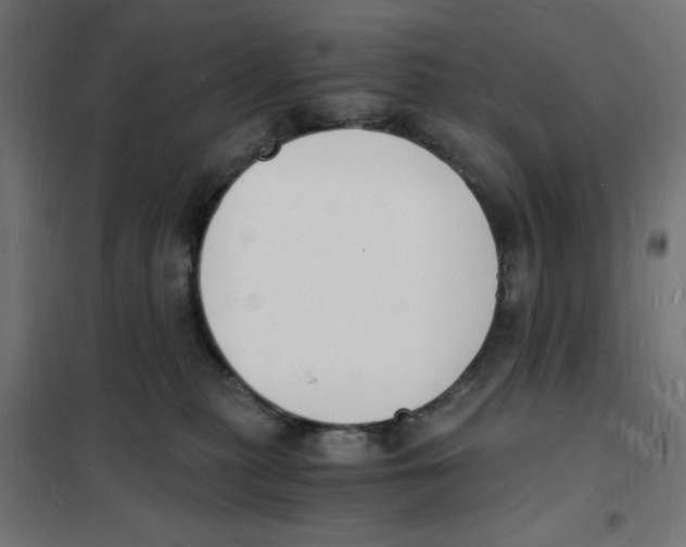 X0000101670279200808071052