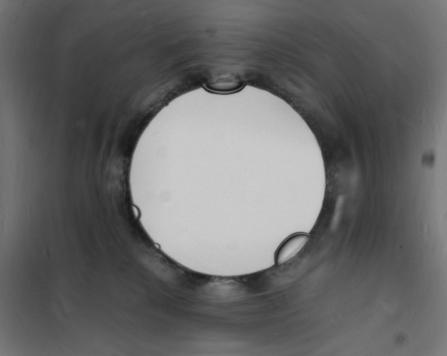 X0000101670280200808071052