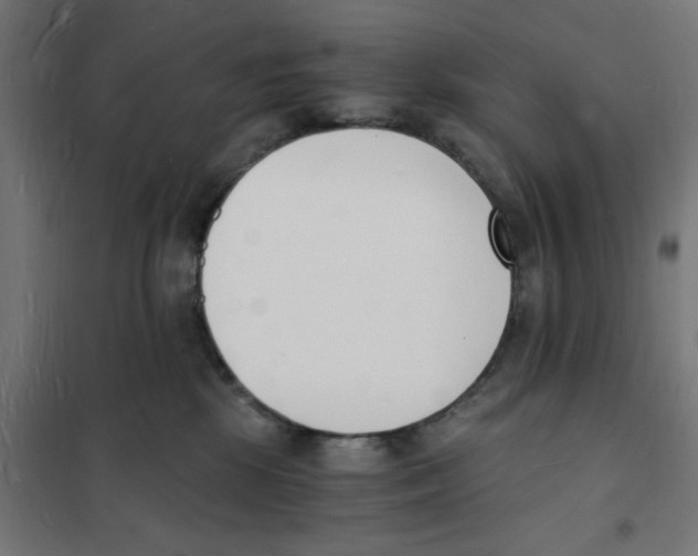 X0000101670281200808071052