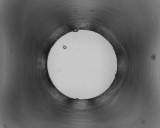 X0000101670282200808071052