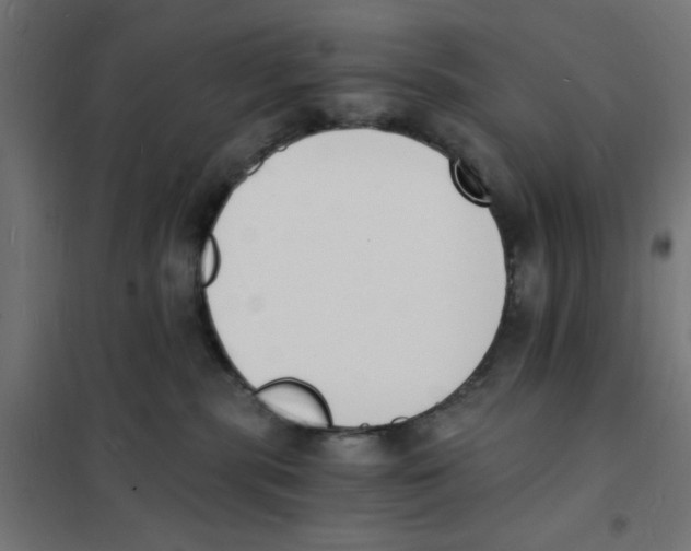 X0000101670283200808071052
