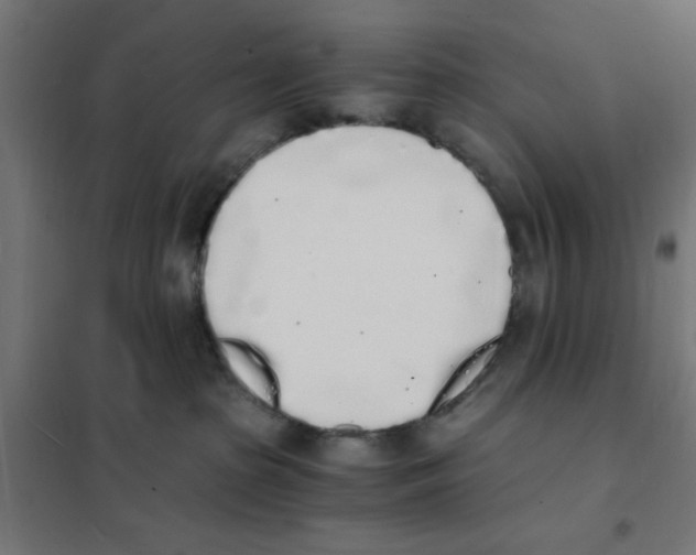 X0000101670285200808071052