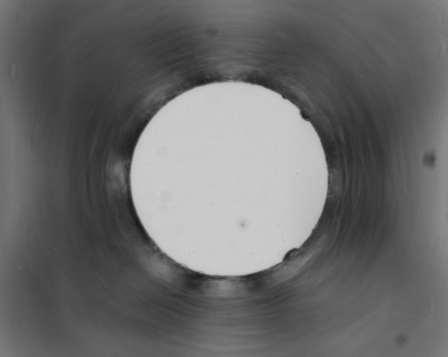 X0000101670286200808071052