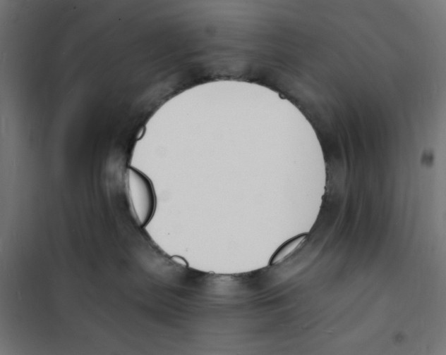 X0000101670287200808071052