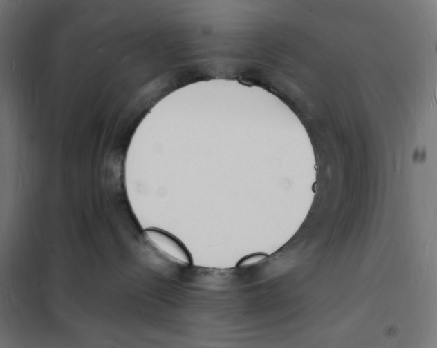 X0000101670288200808071052