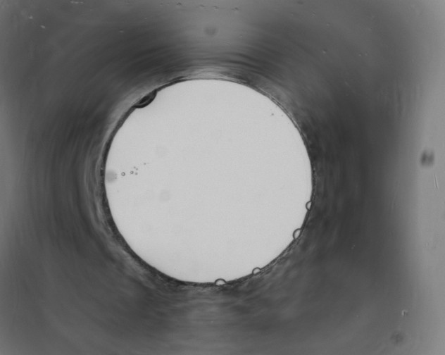 X0000101670289200808071051