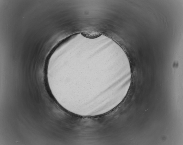 X0000101670290200808071051
