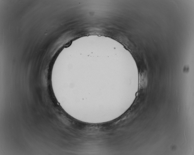X0000101670291200808071051