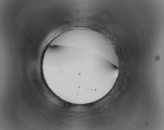 X0000101670293200808071051