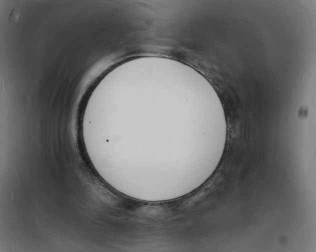 X0000101670294200808071051