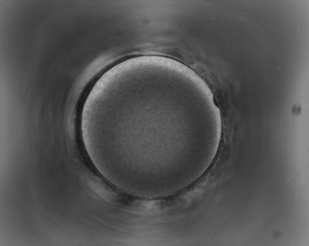 X0000101670295200808071051
