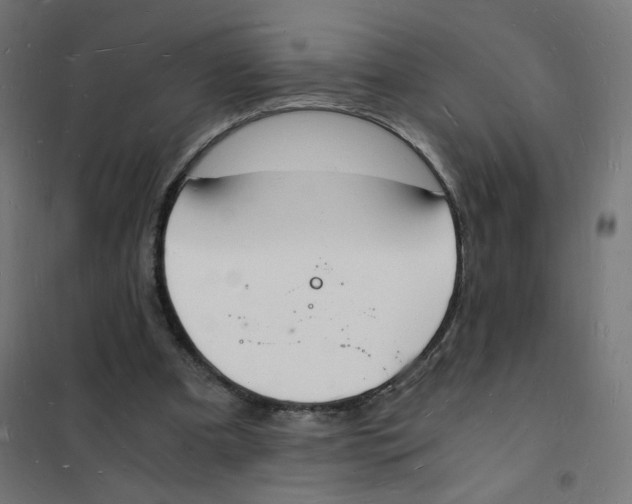 X0000101670297200808071051