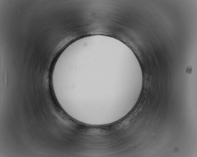 X0000101670298200808071051