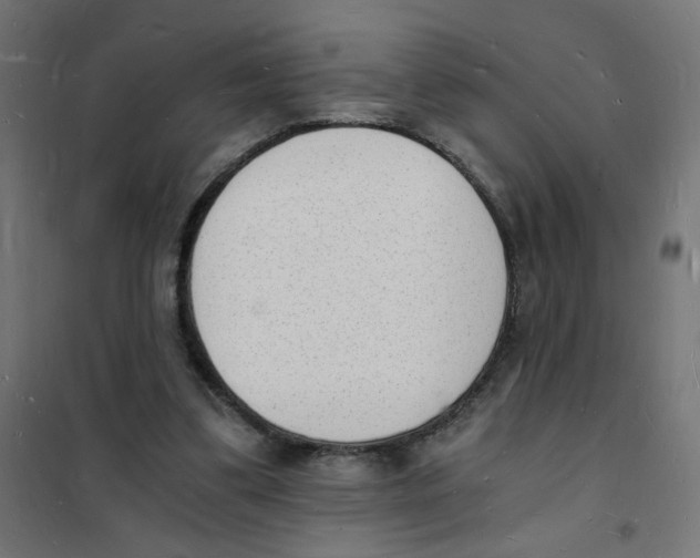 X0000101670299200808071051