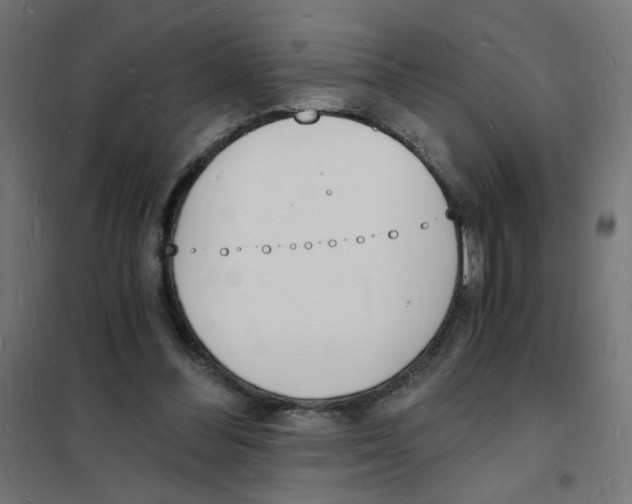 X0000101670300200808071051