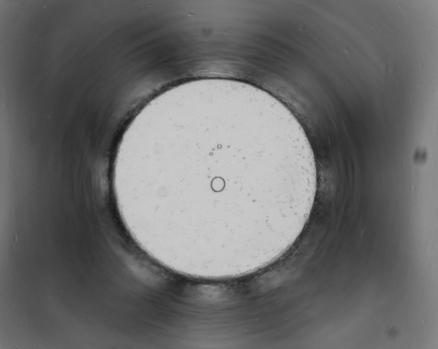 X0000101670302200808071051