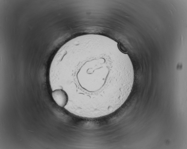 X0000101670303200808071051