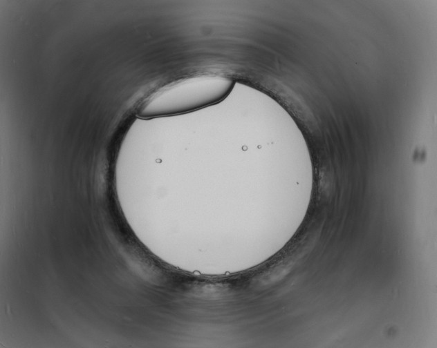 X0000101670304200808071051