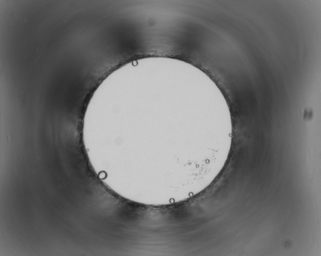 X0000101670305200808071051