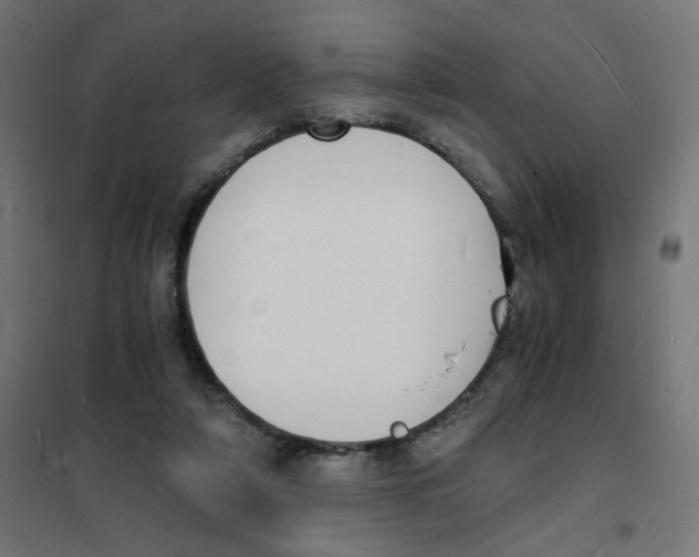 X0000101670306200808071051