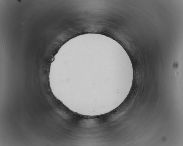 X0000101670307200808071051