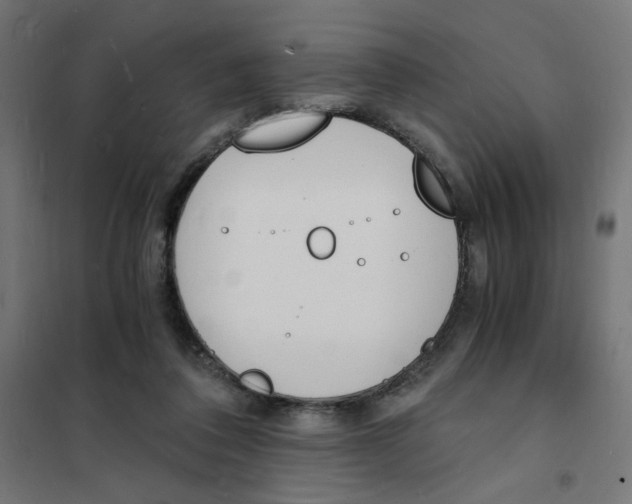 X0000101670308200808071051