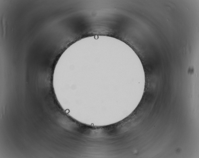 X0000101670309200808071051