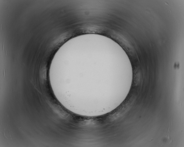 X0000101670310200808071051