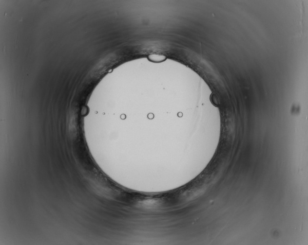 X0000101670312200808071051