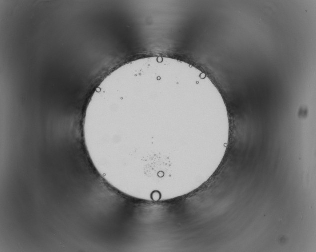X0000101670313200808071051