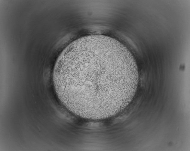 X0000101670314200808071051