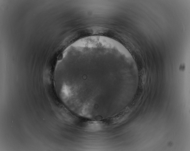 X0000101670316200808071051