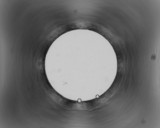 X0000101670317200808071051