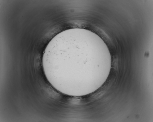 X0000101670318200808071051
