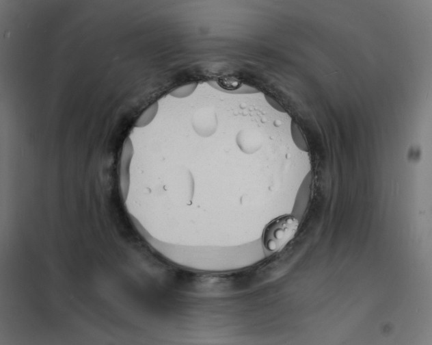 X0000101670319200808071051
