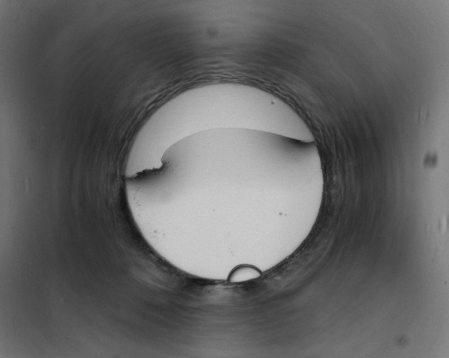 X0000101670320200808071051
