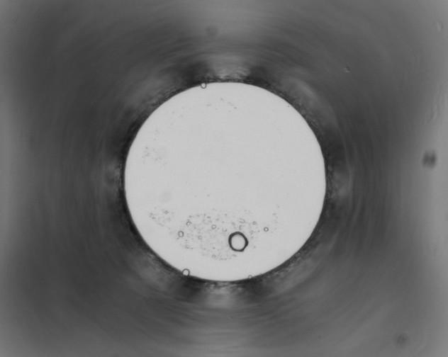 X0000101670321200808071051